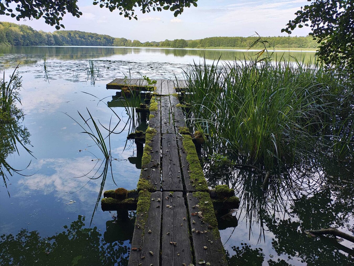 stegbild